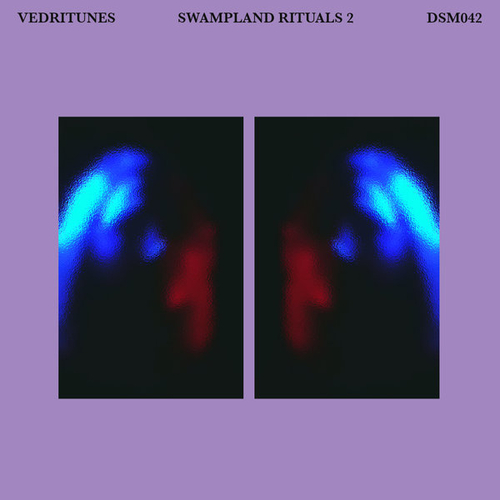 Vedritunes - Swampland Rituals, Pt. 2 [DSM042]